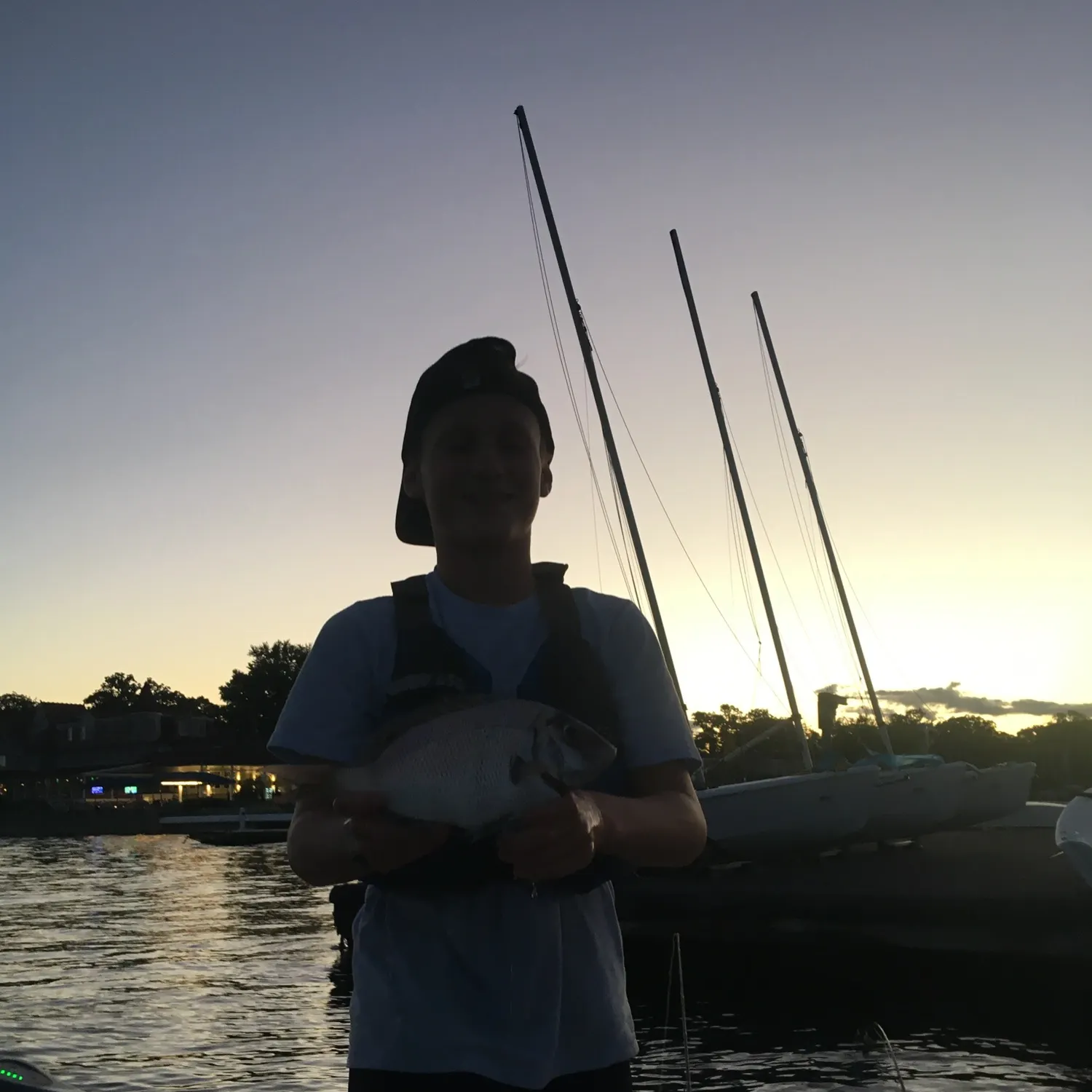Scup caught on Fishbrain