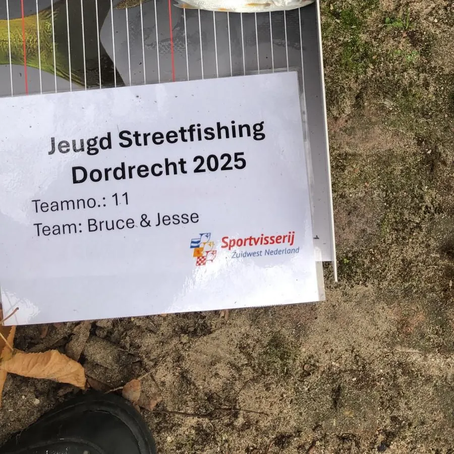 The most recent Asp catches on Fishbrain