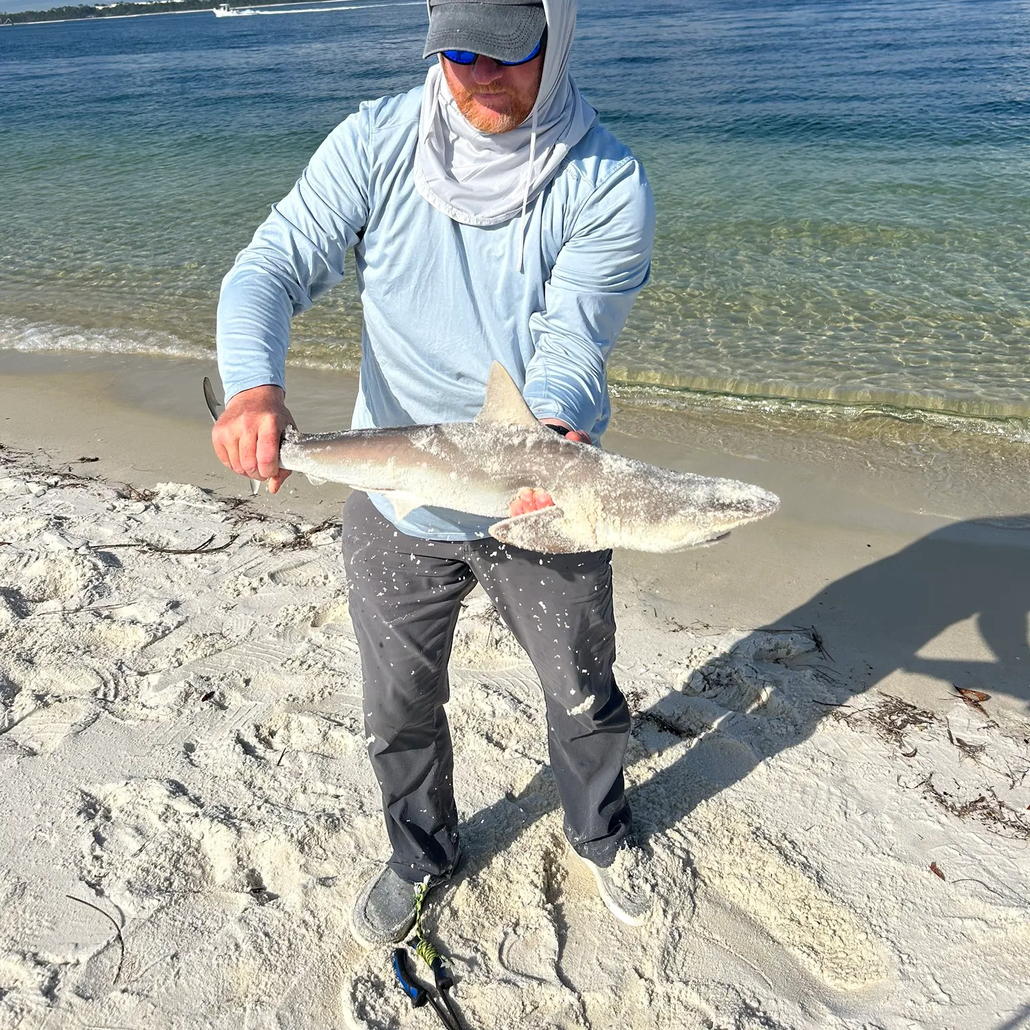 The most recent Atlantic sharpnose shark catches on Fishbrain