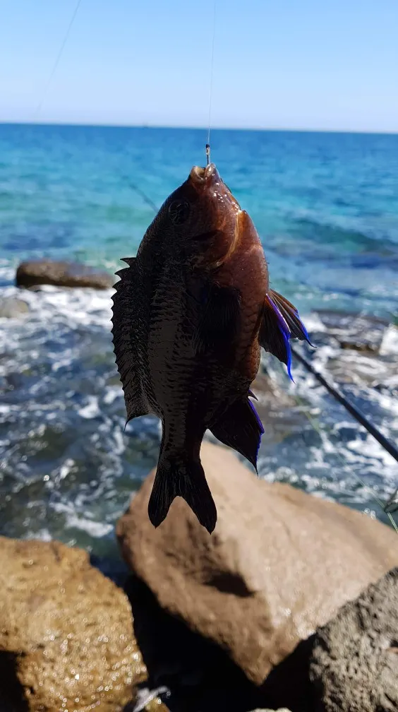 Post image from mikk992k