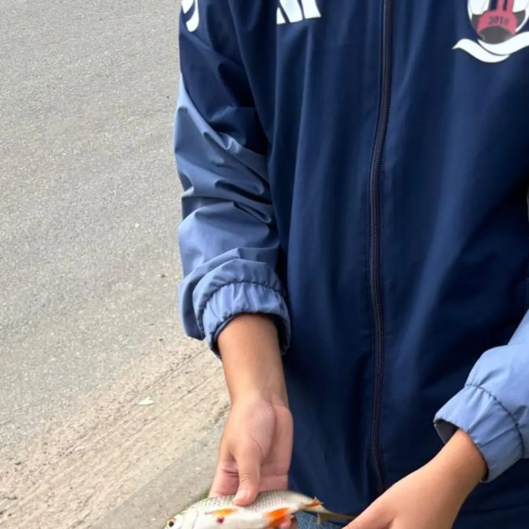 Common roach caught on Fishbrain
