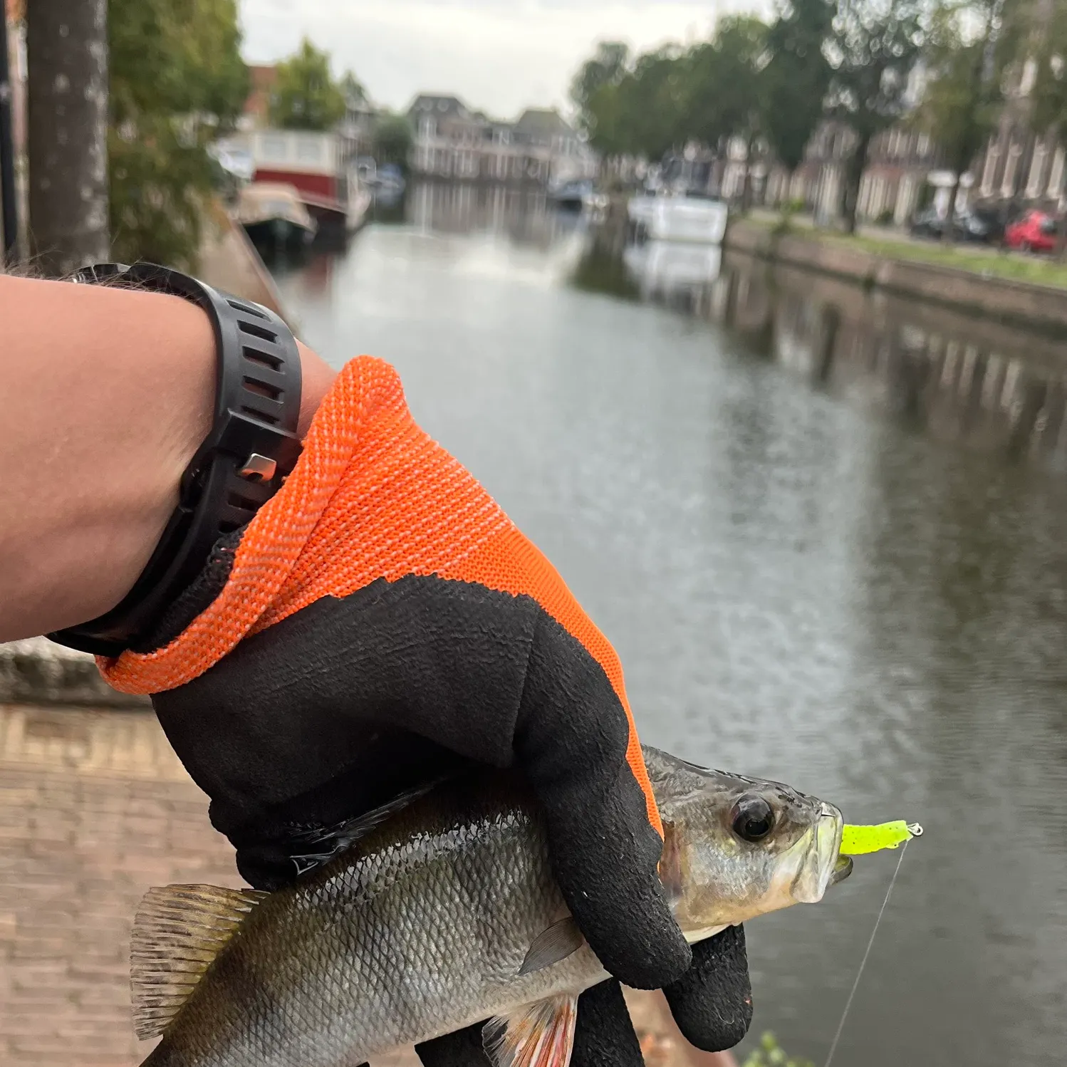 catch
