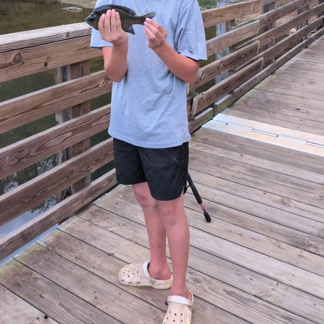 Fish caught on Fishbrain