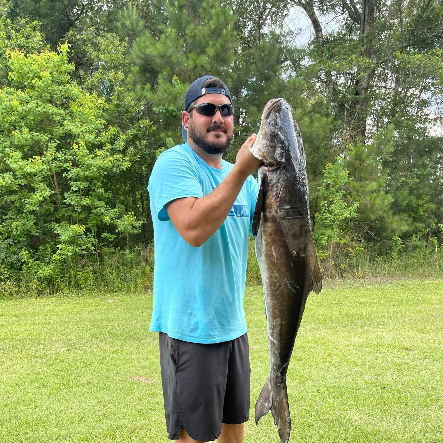 The most recent Cobia catches on Fishbrain