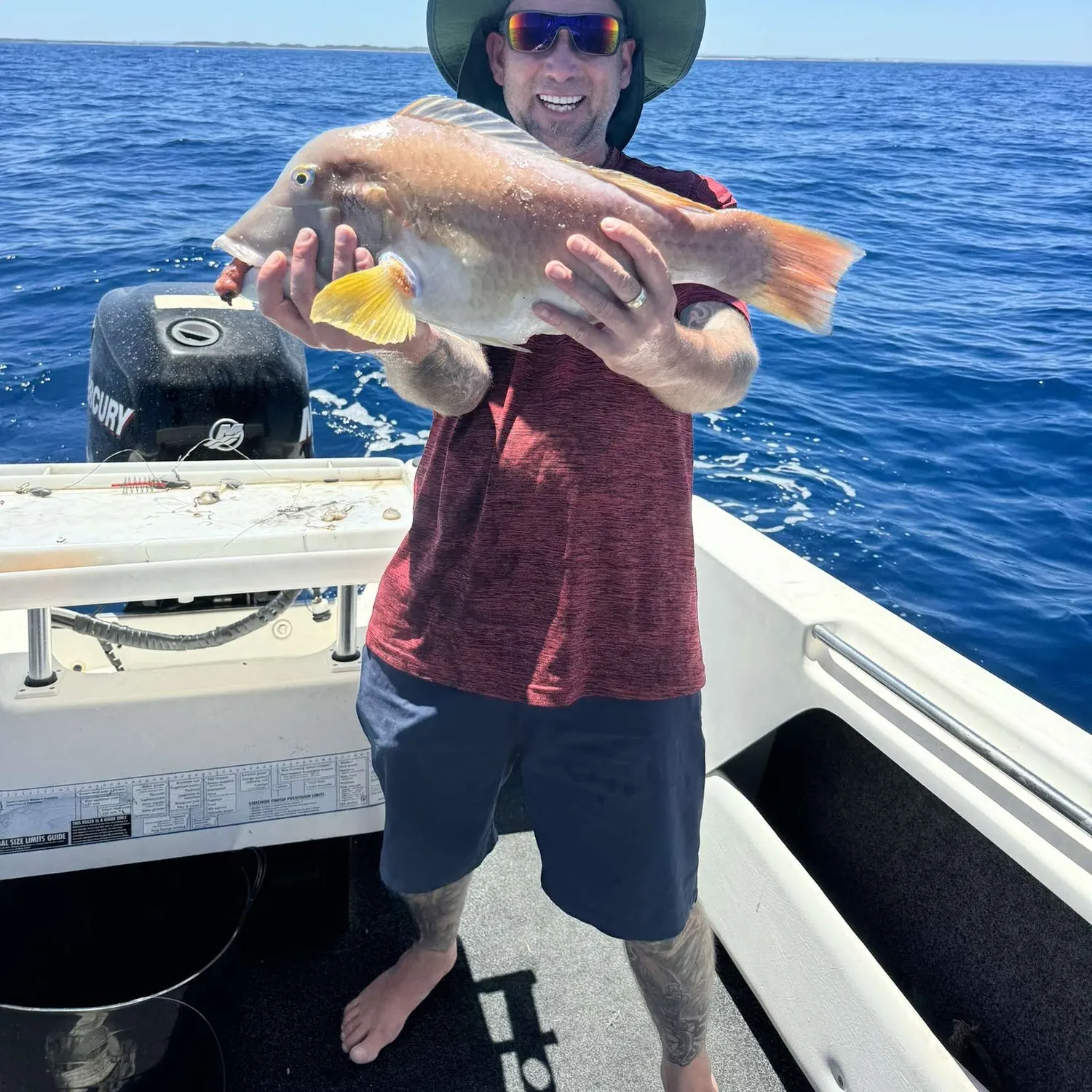 The most recent Baldchin groper catches on Fishbrain