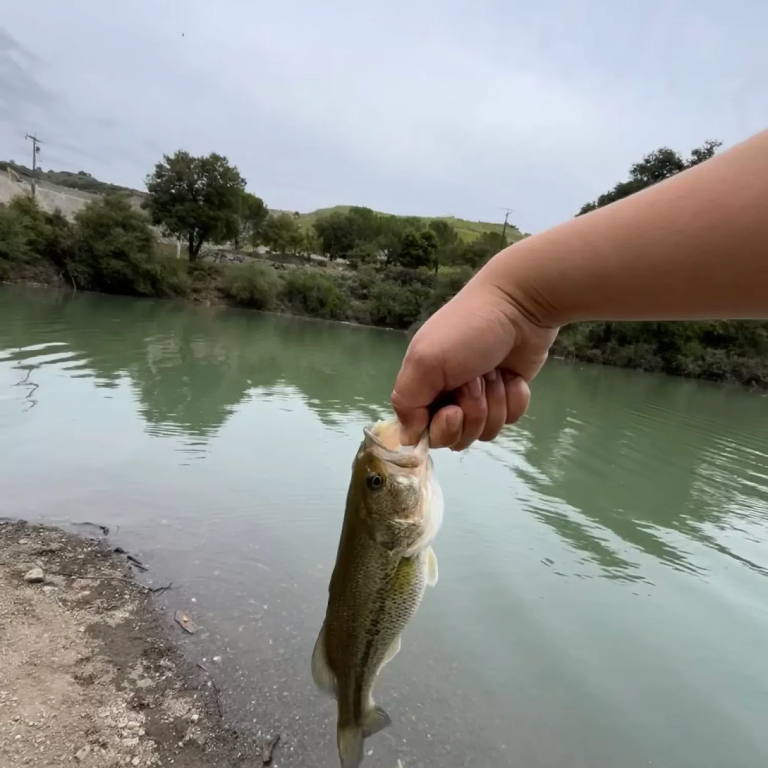 angler catch