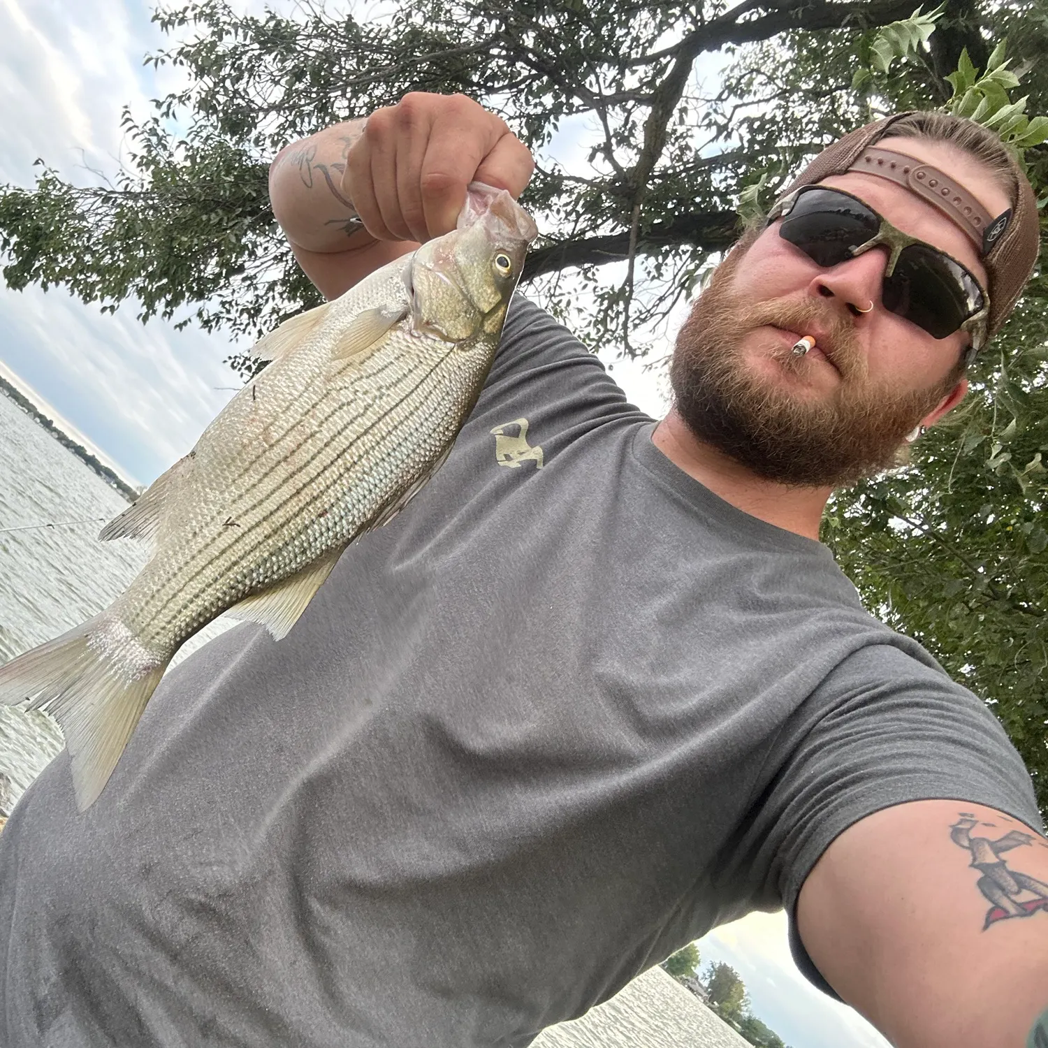 Wiper caught on Fishbrain