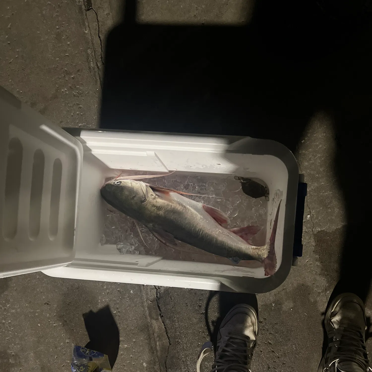 catch