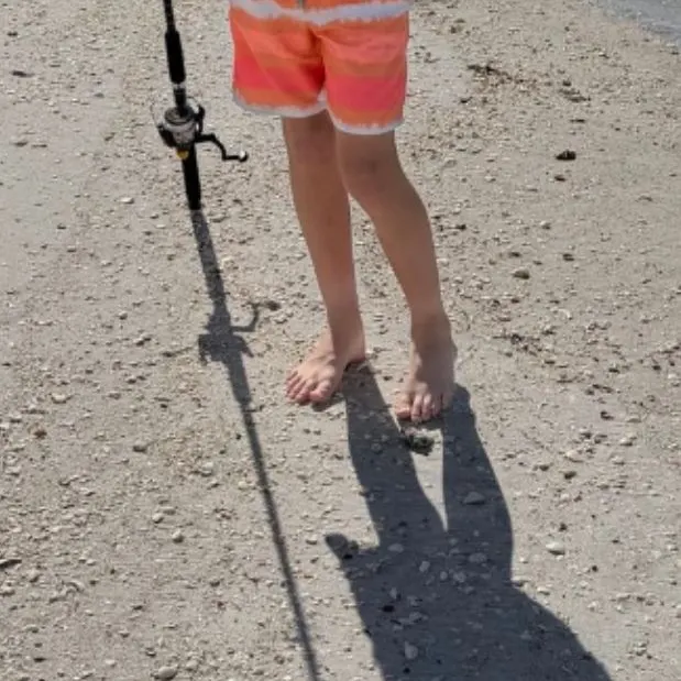 The most recent Ladyfish catches on Fishbrain