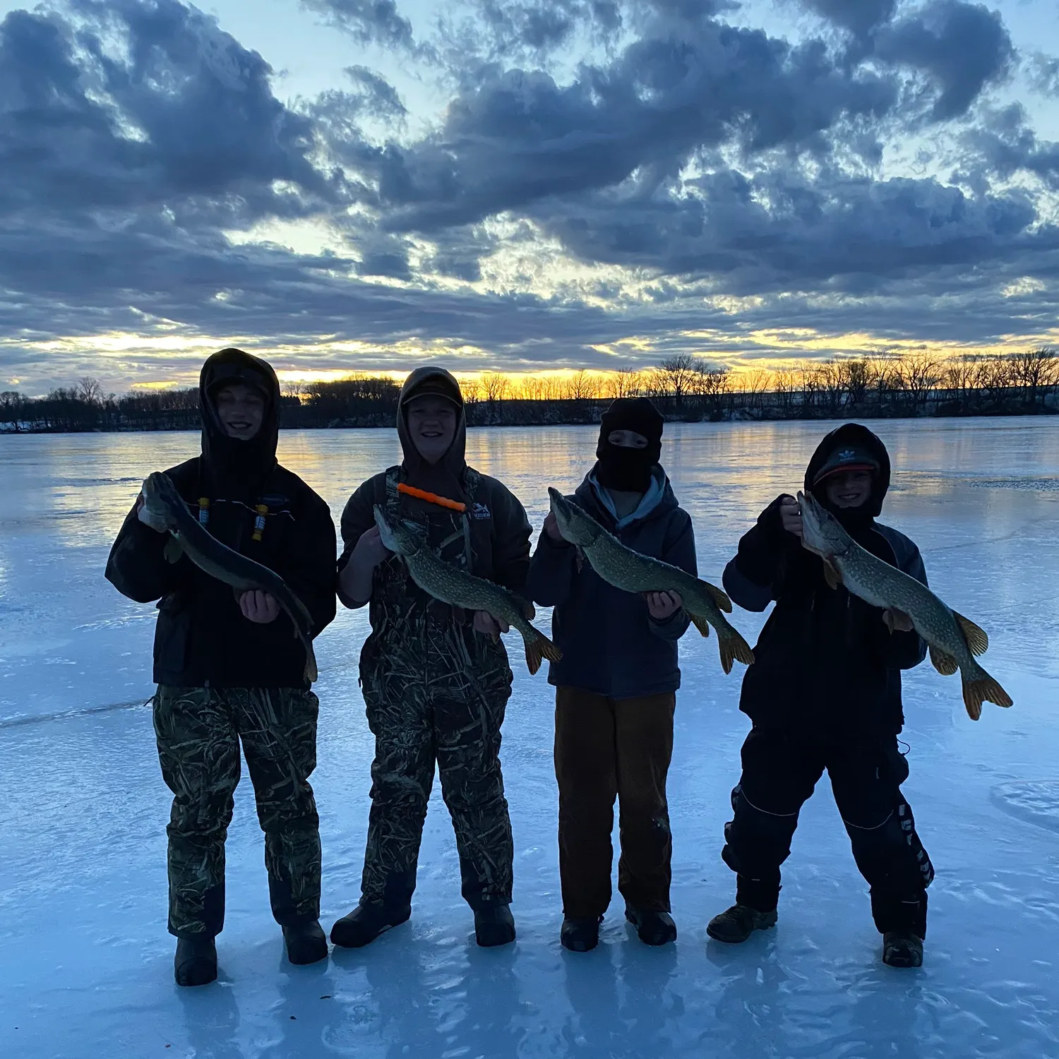 The most recent Northern pike catches on Fishbrain