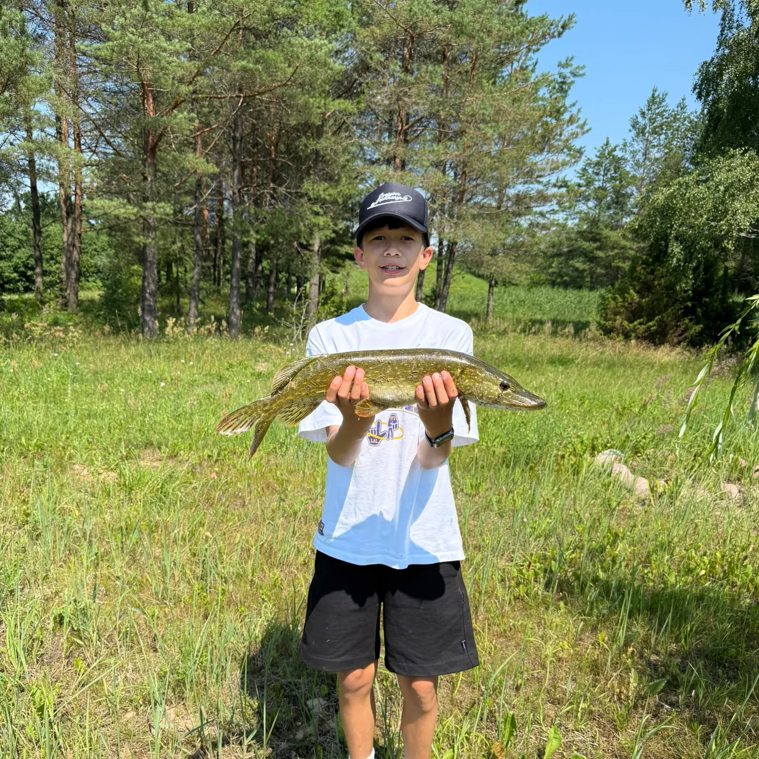 Northern pike caught on Fishbrain