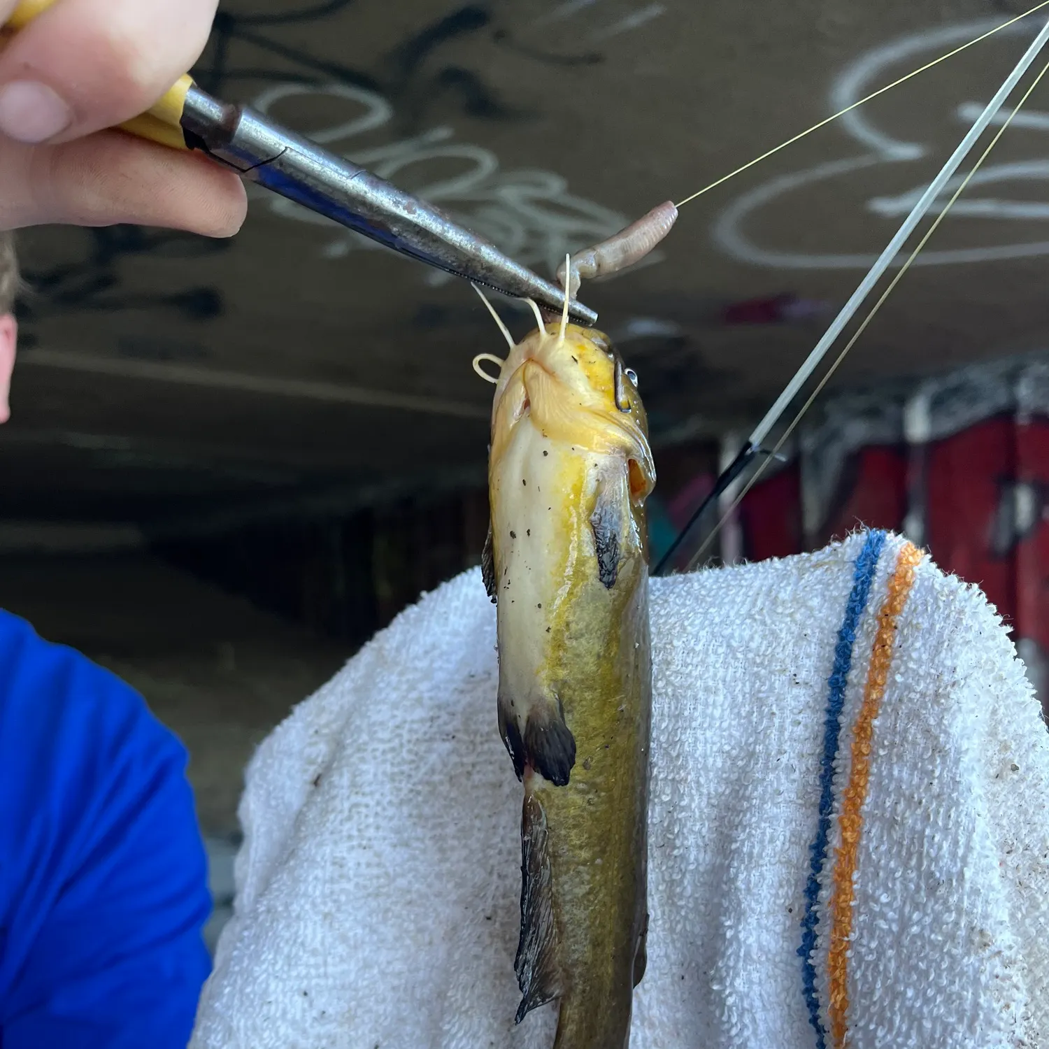 catch
