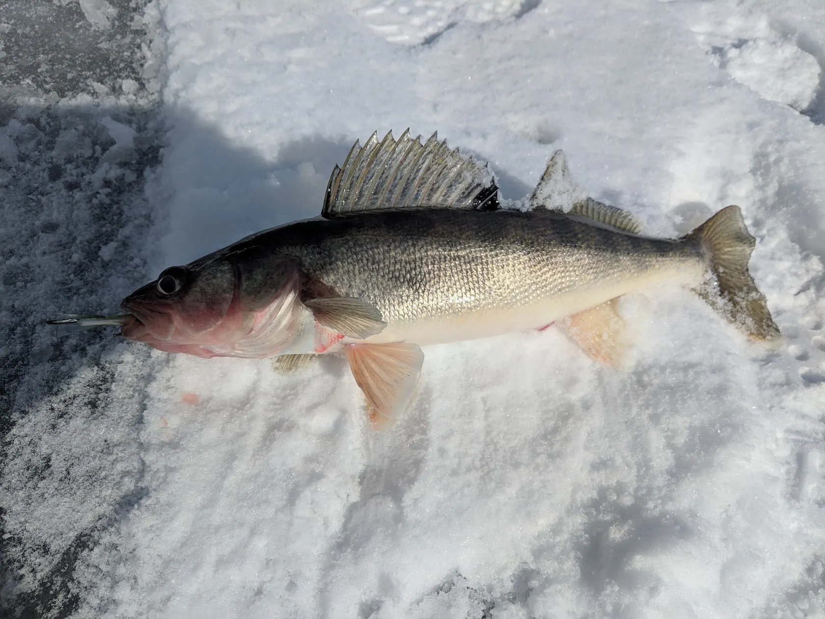 Post image from rg1993