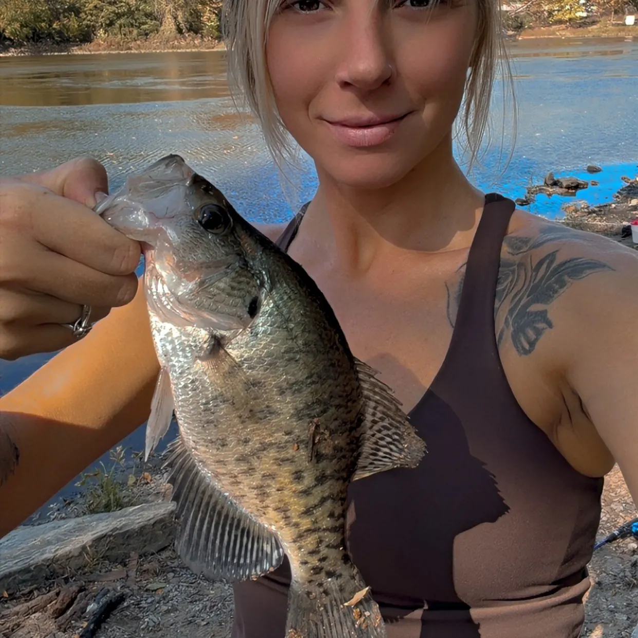 White crappie caught on Fishbrain