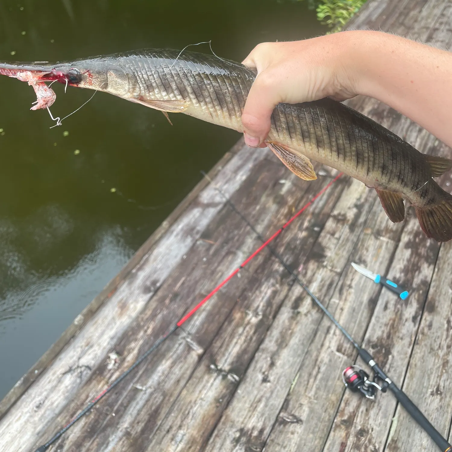 catch