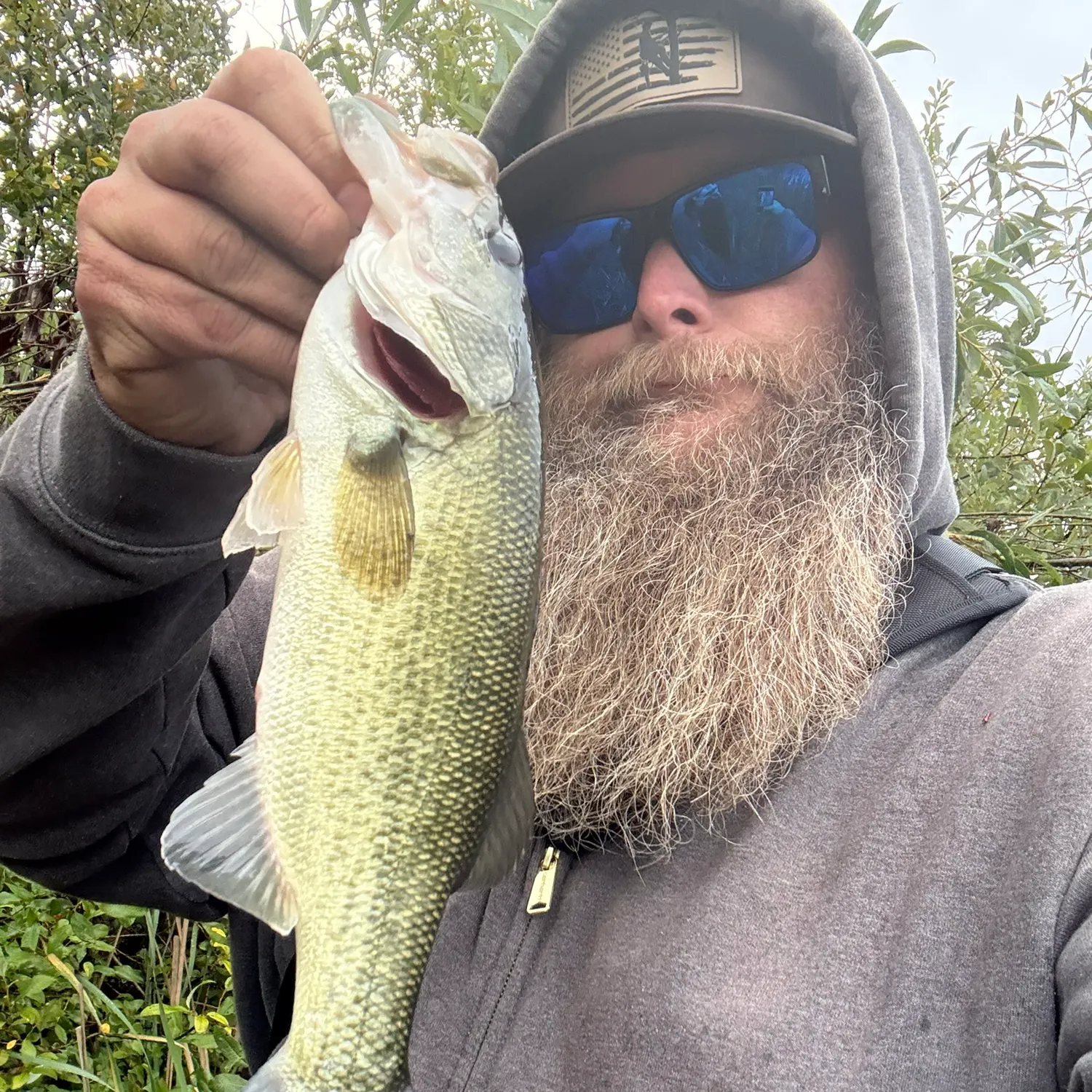 Largemouth bass caught on Fishbrain