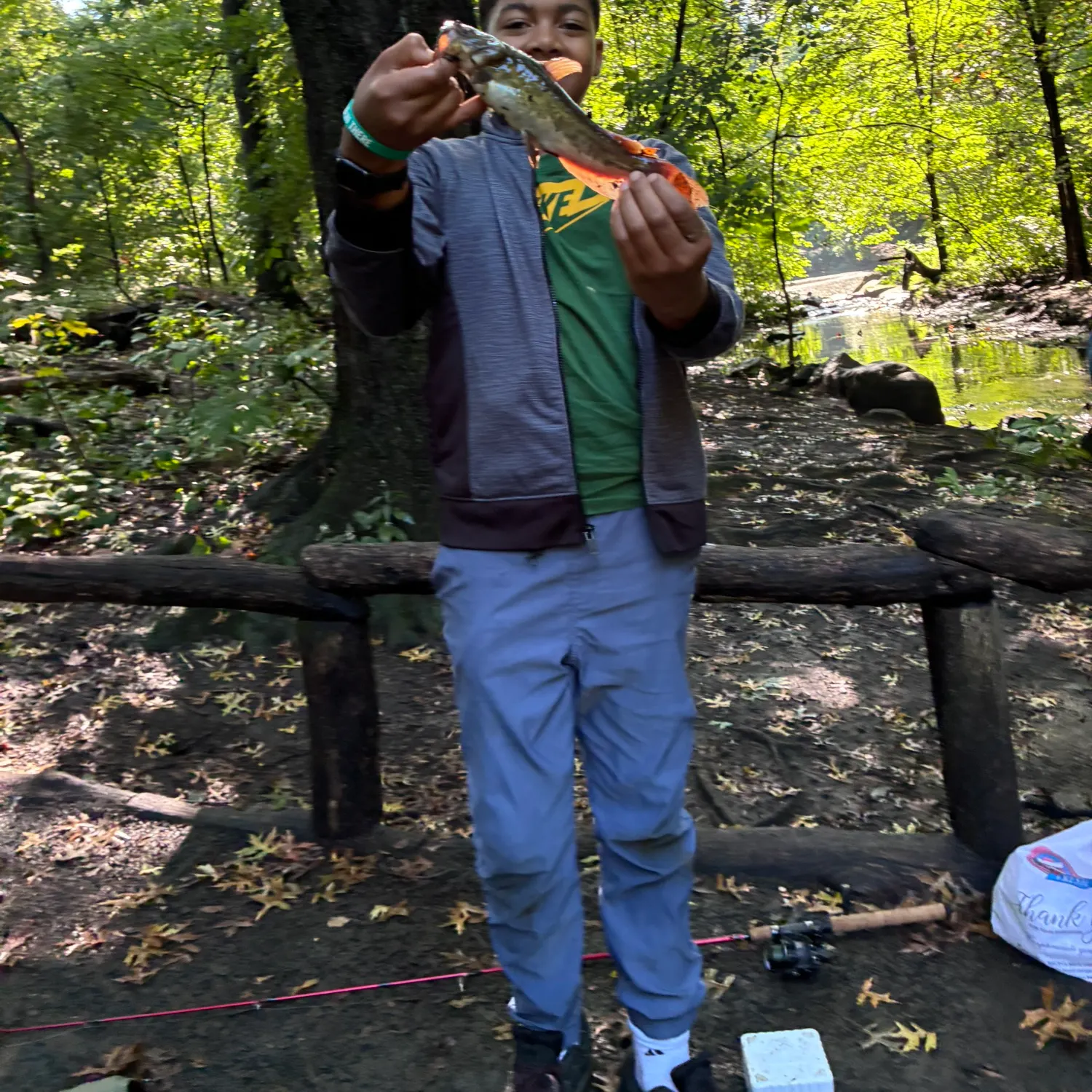Brown bullhead caught on Fishbrain