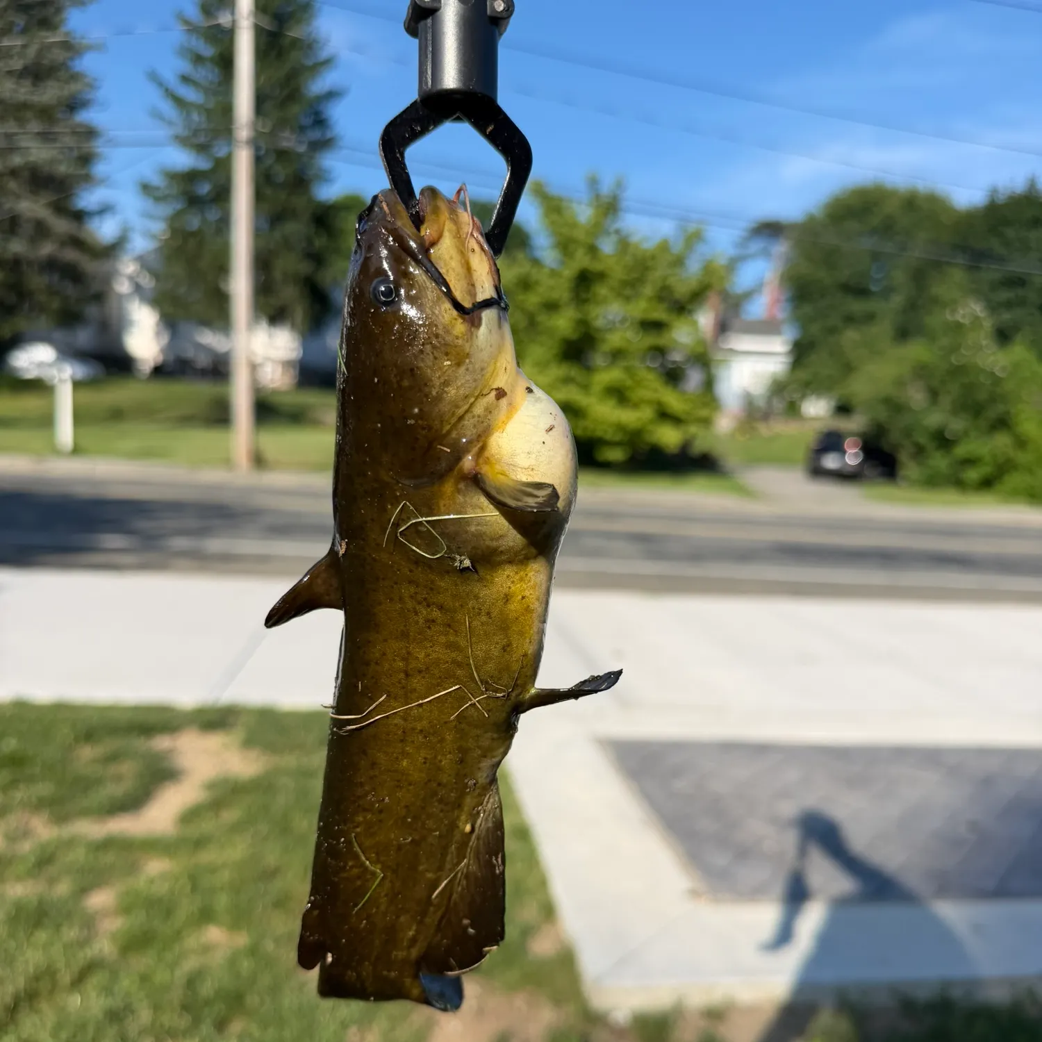 catch
