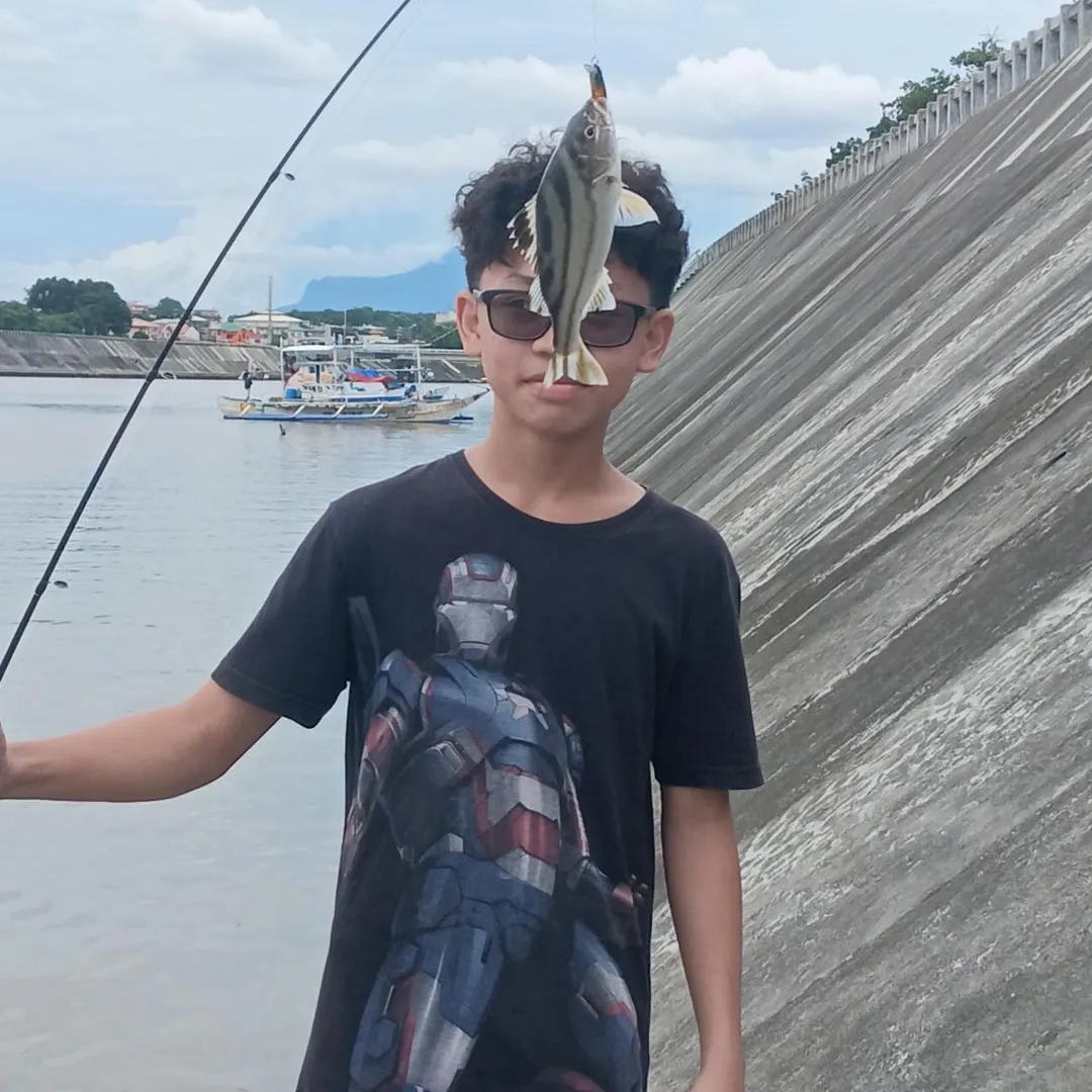 The most recent Jarbua terapon catches on Fishbrain