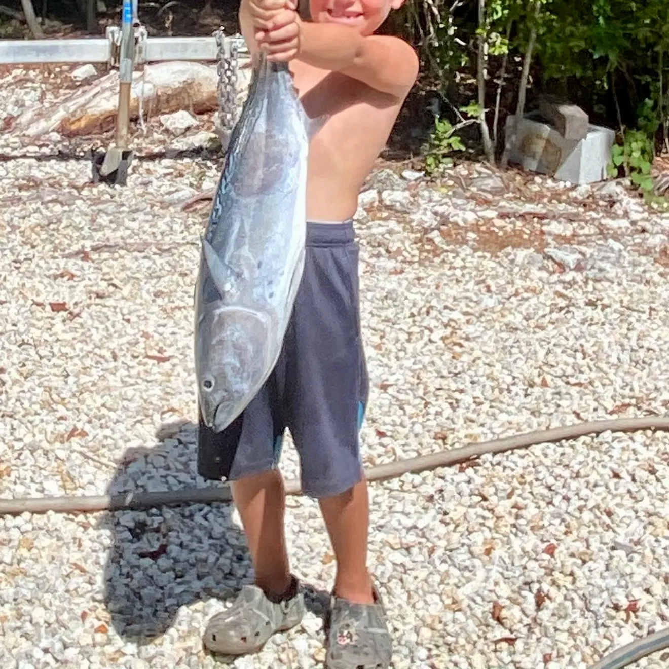 The most recent Plain bonito catches on Fishbrain