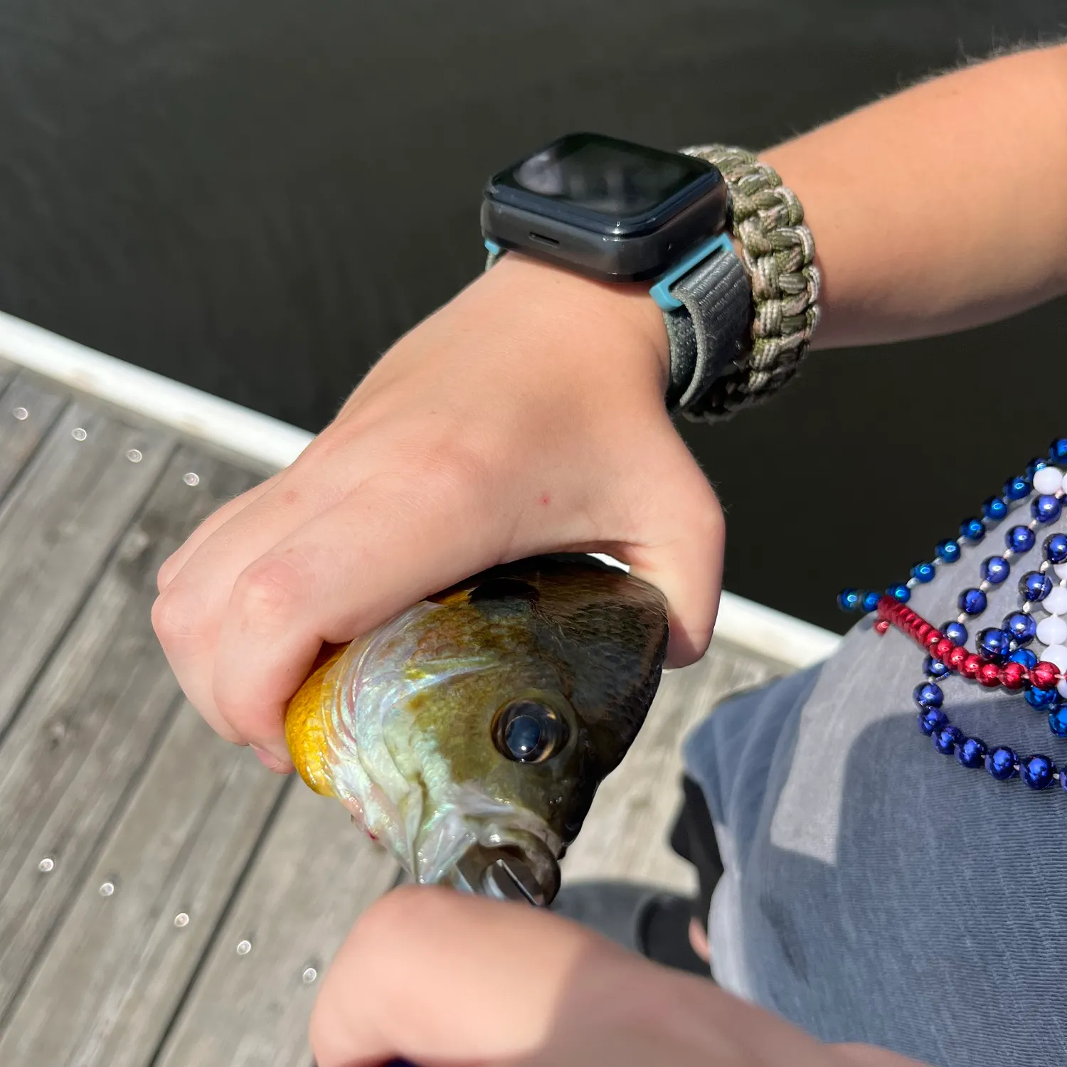 Green sunfish caught on Fishbrain