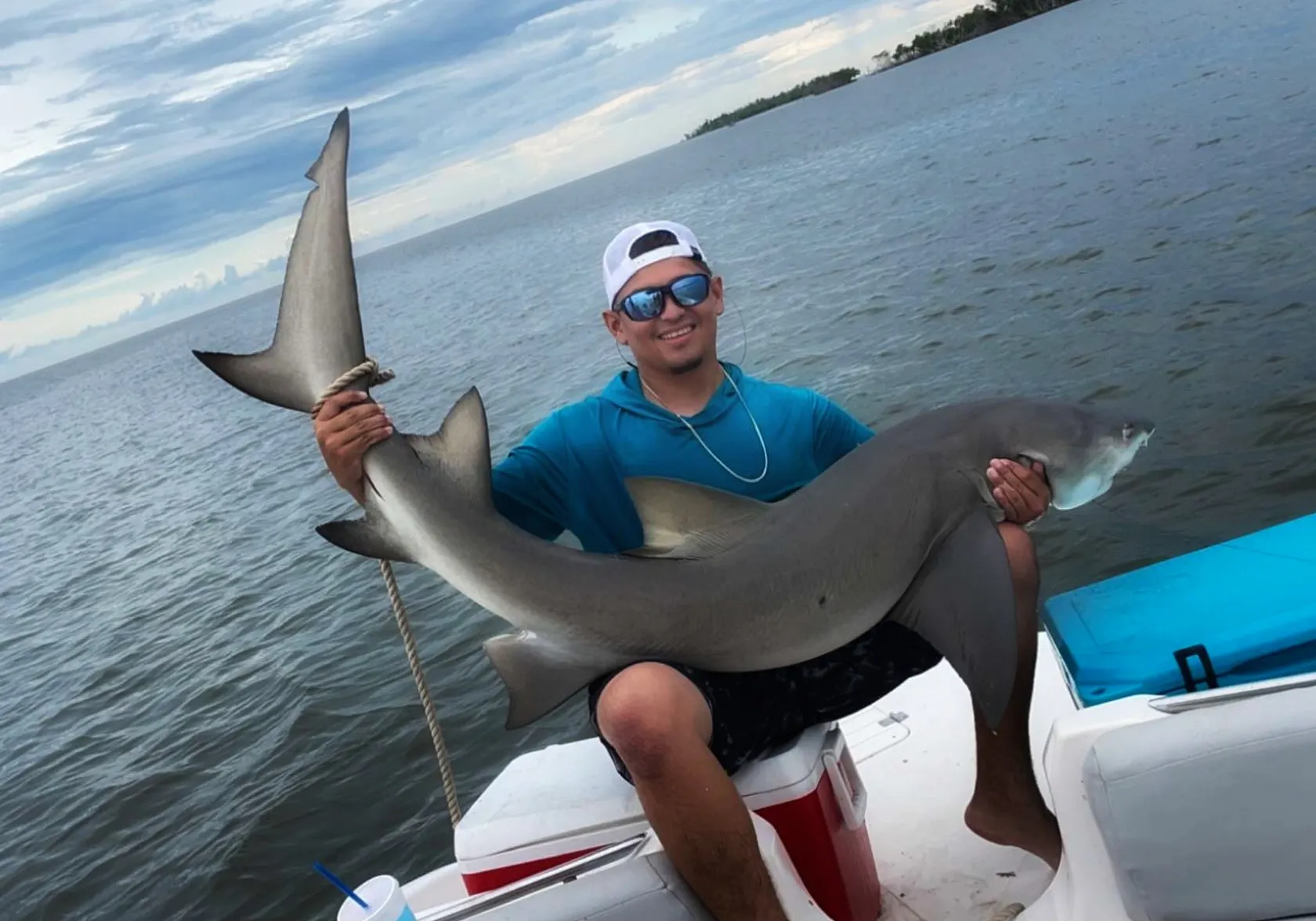 Lemon shark