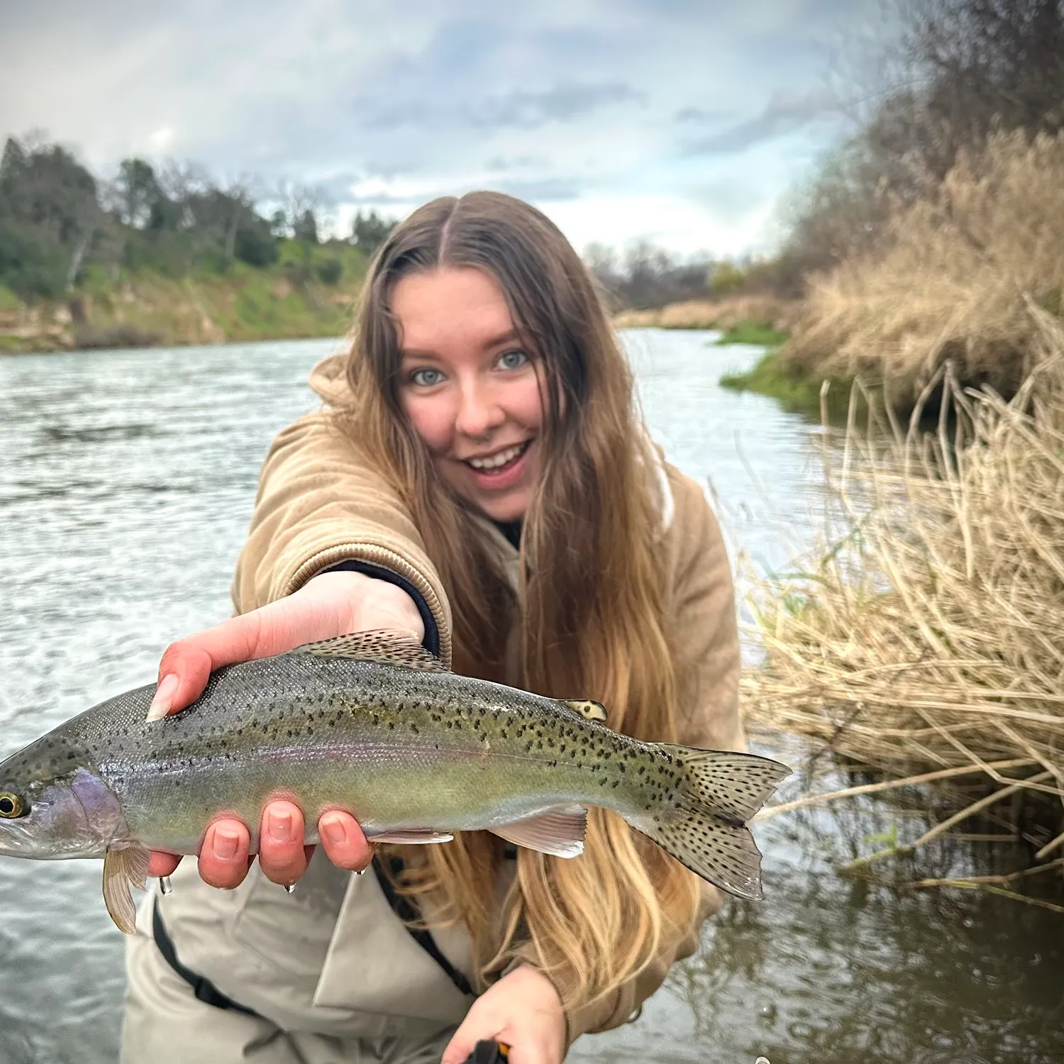 The most recent Rainbow trout catches on Fishbrain