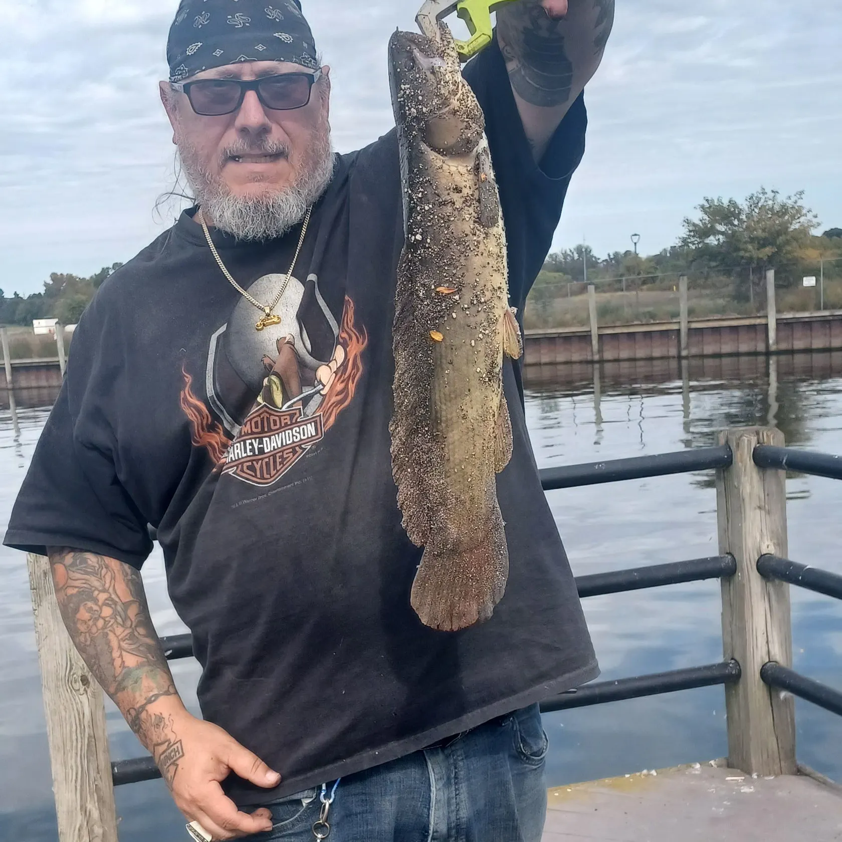 Eyetail bowfin caught on Fishbrain