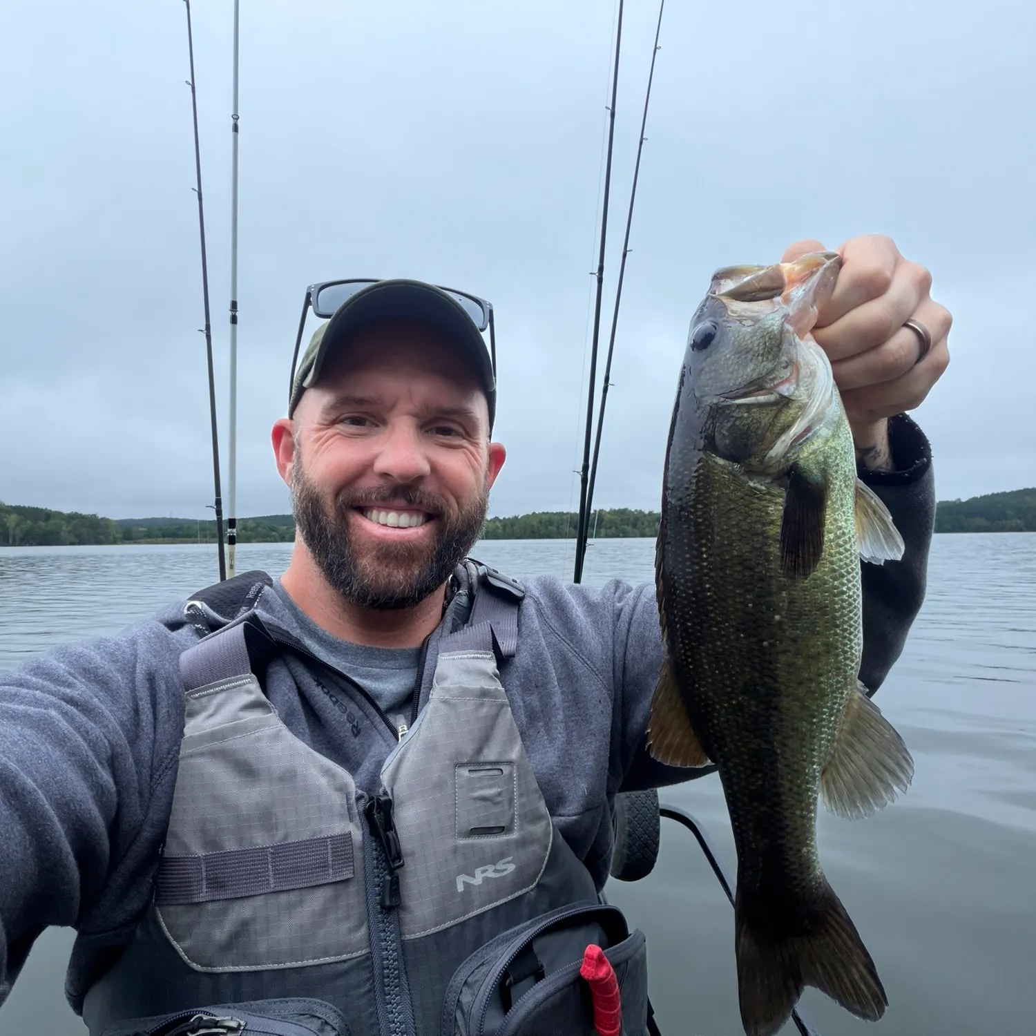 Largemouth bass caught on Fishbrain