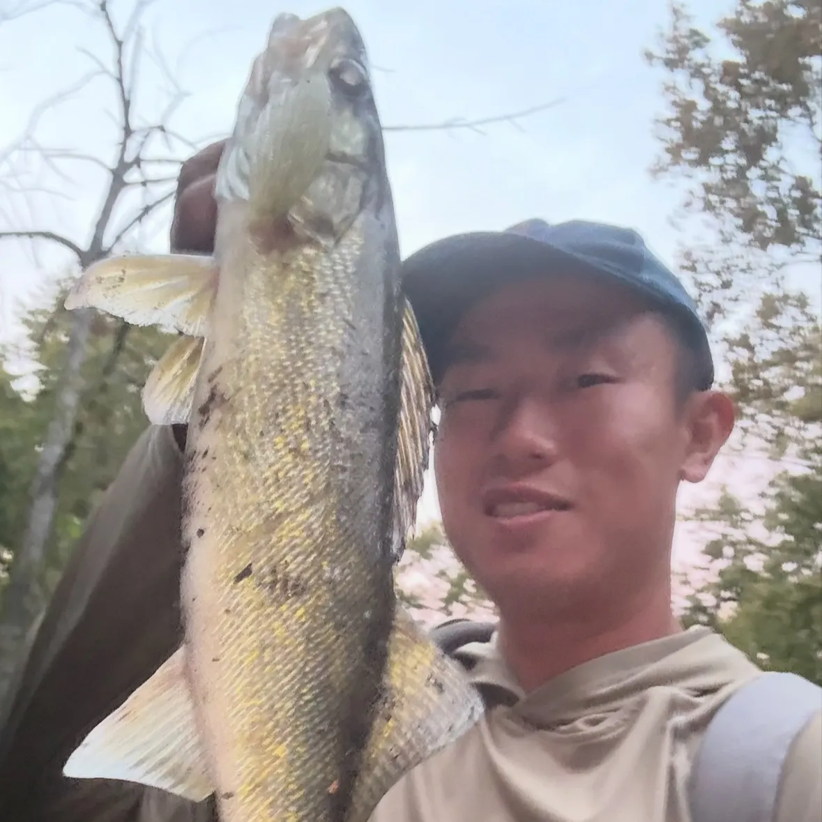 Walleye caught on Fishbrain