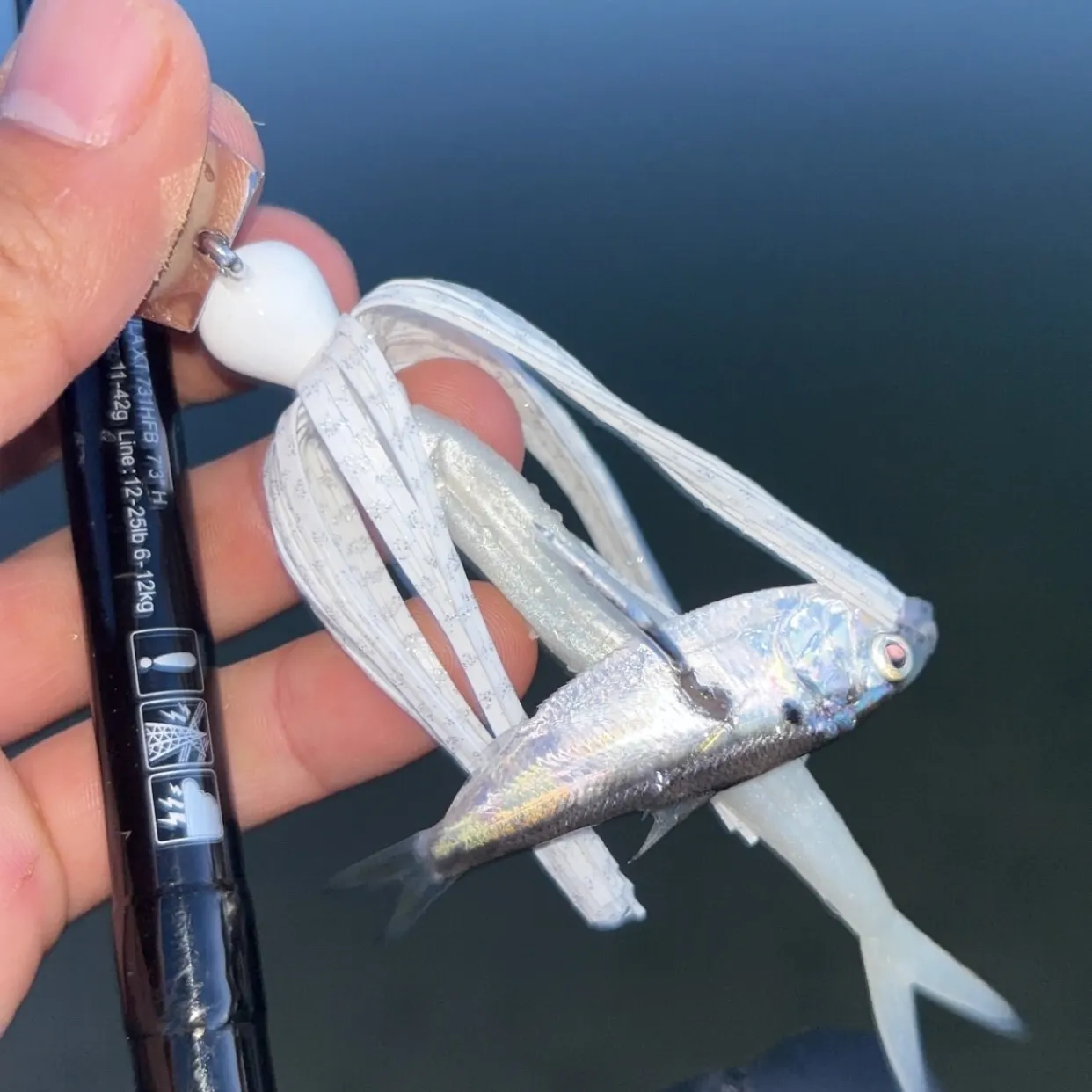 The most recent Threadfin shad catches on Fishbrain