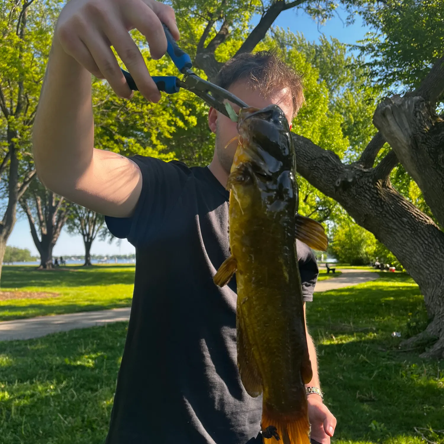 catch