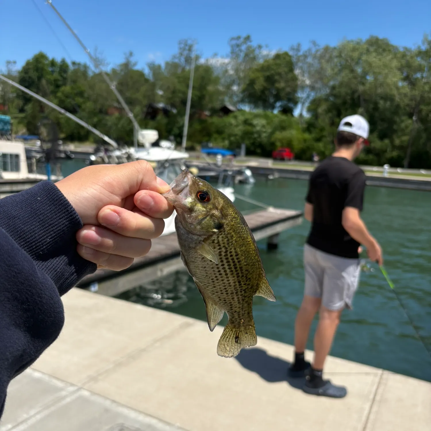 catch