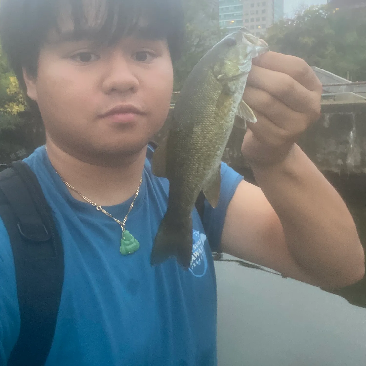 Smallmouth bass caught on Fishbrain
