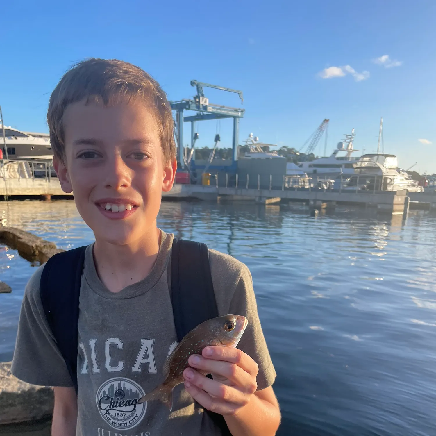 The most recent Yellowstreaked snapper catches on Fishbrain