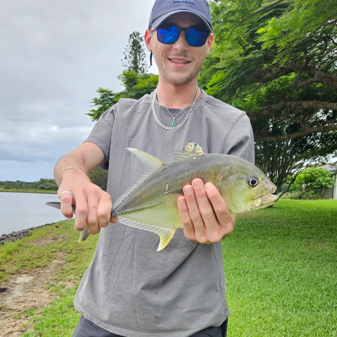 The most recent Giant trevally catches on Fishbrain