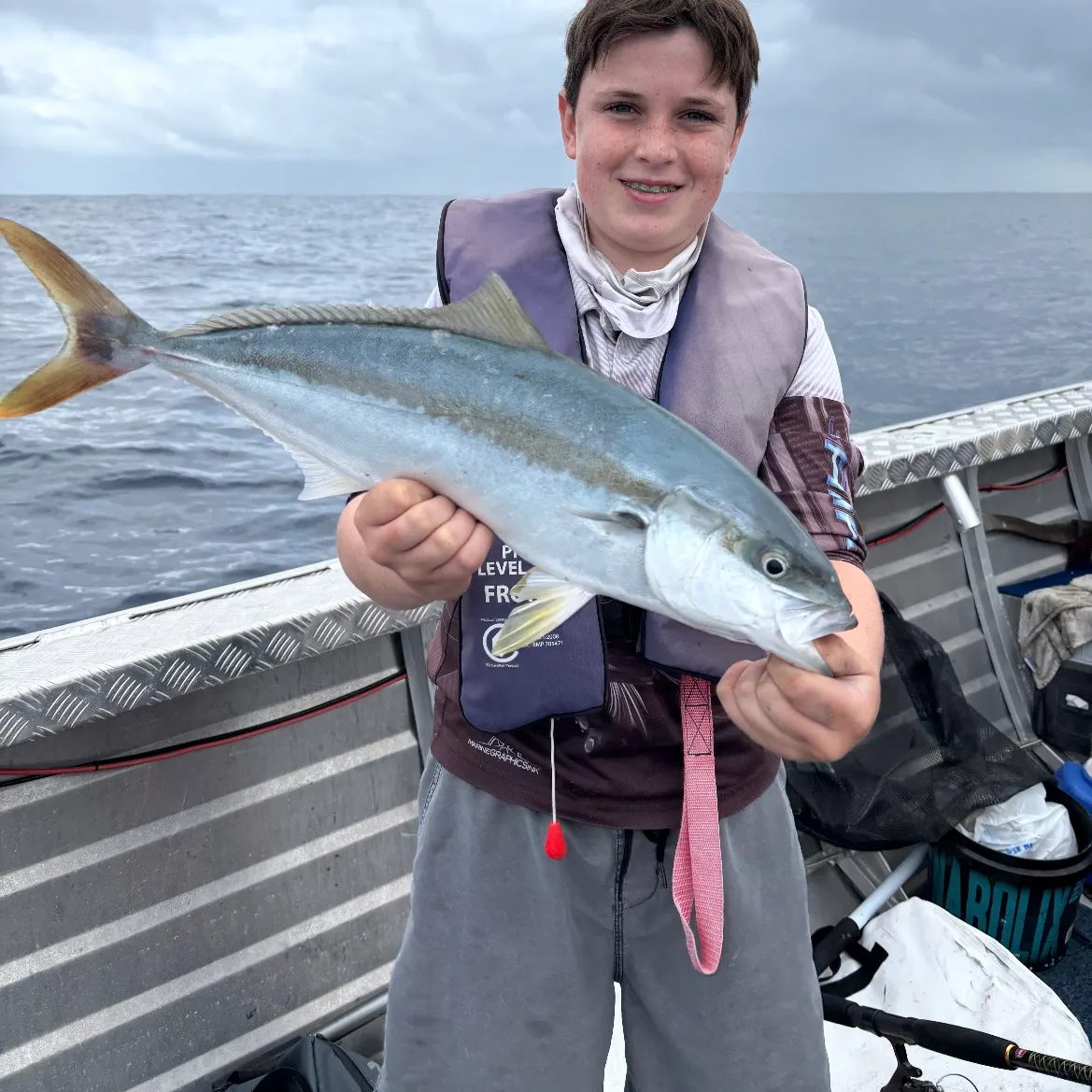 The most recent Southern yellowtail amberjack catches on Fishbrain