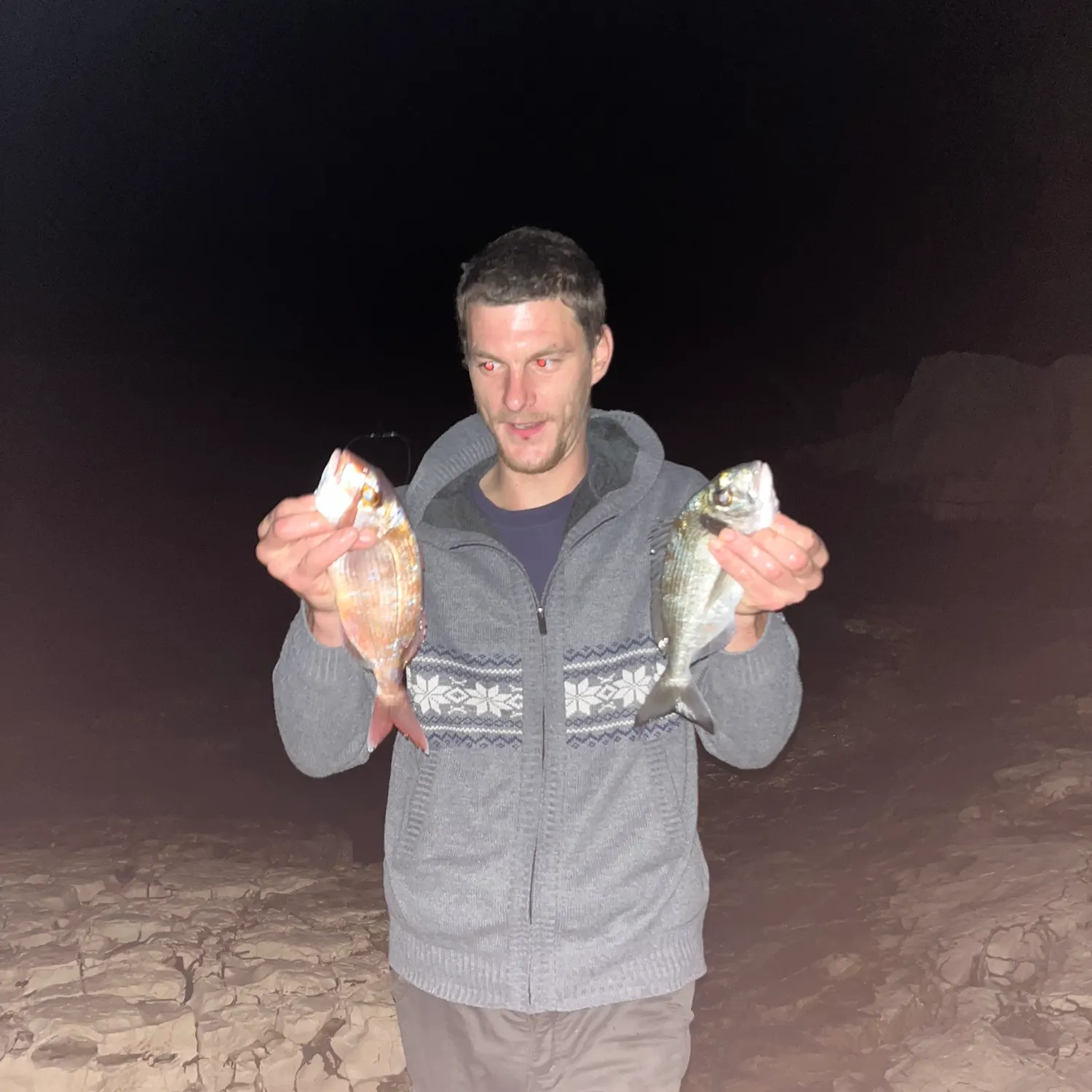The most recent Gilthead seabream catches on Fishbrain