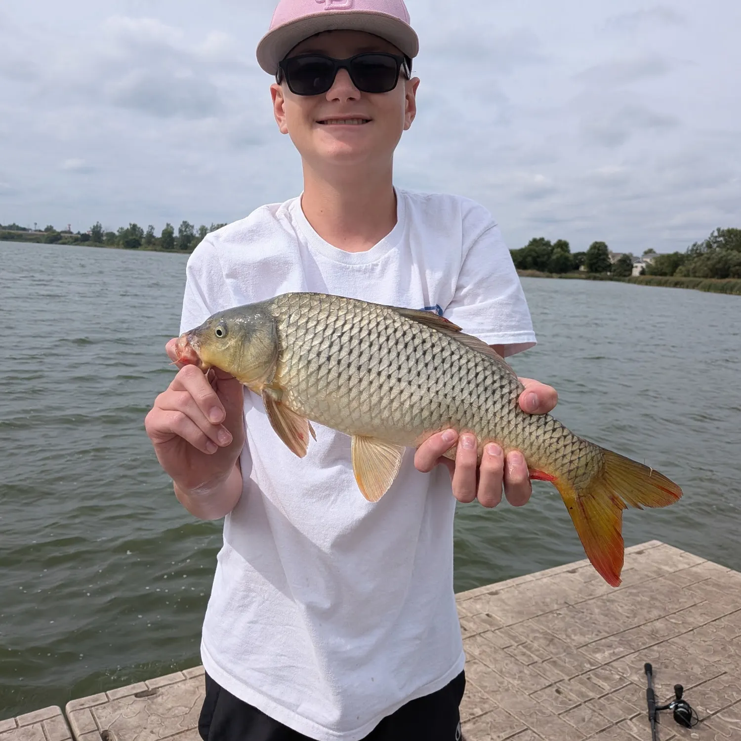 Common carp caught on Fishbrain