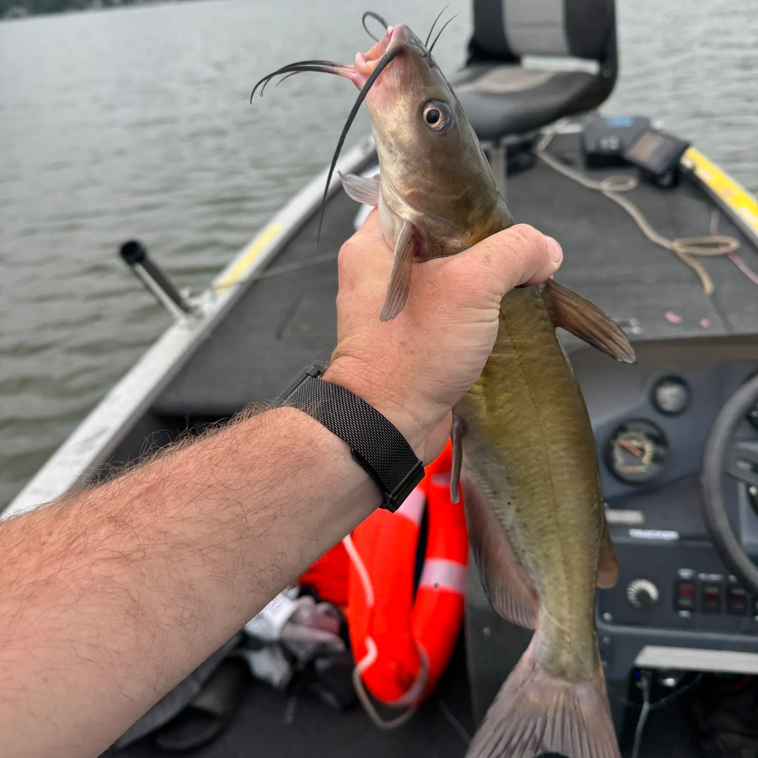 catch
