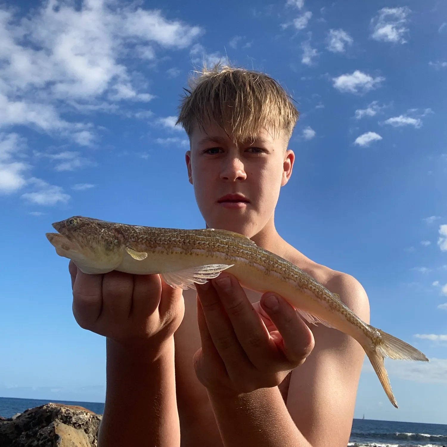 The most recent Atlantic lizardfish catches on Fishbrain