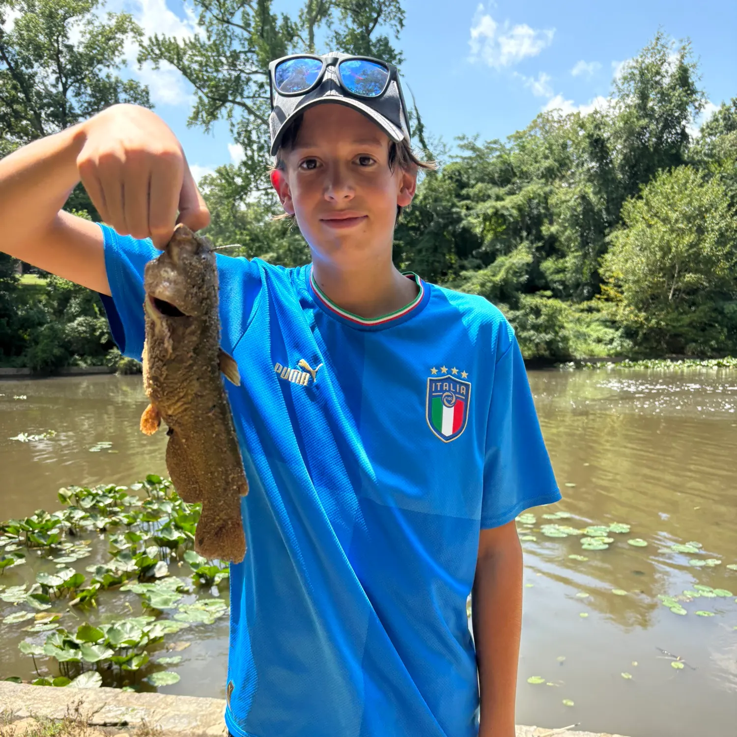 Brown bullhead caught on Fishbrain