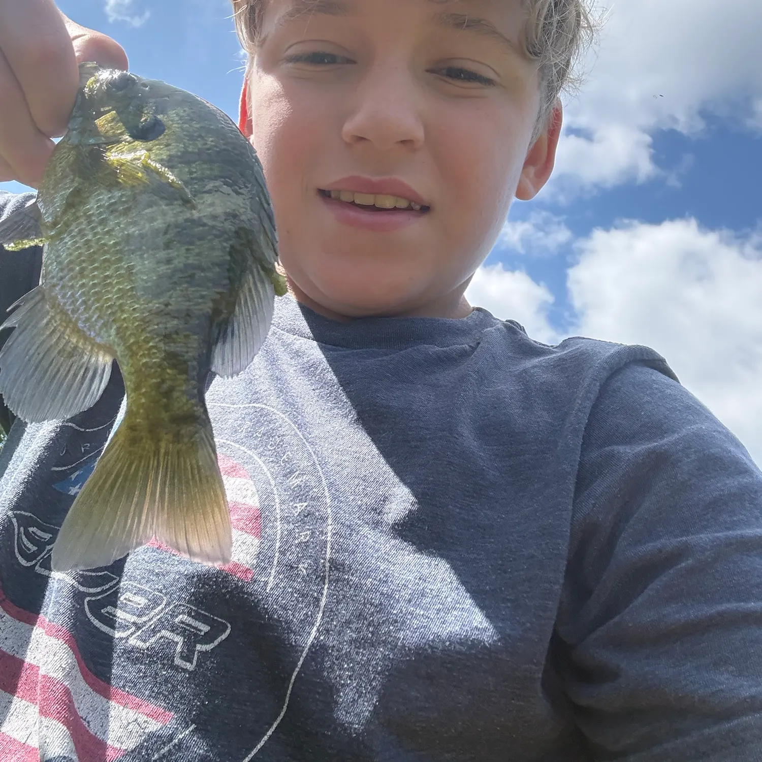 Bluegill caught on Fishbrain