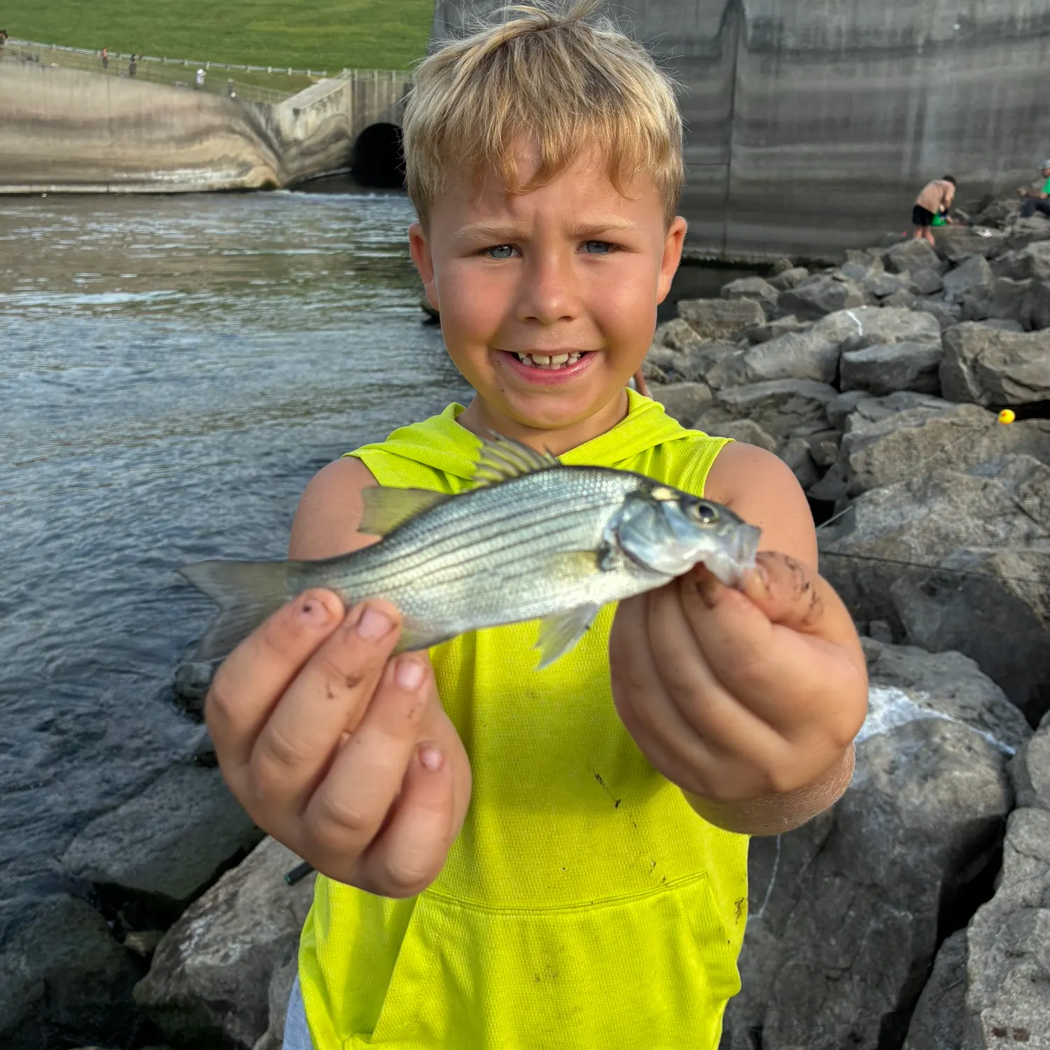 White bass caught on Fishbrain