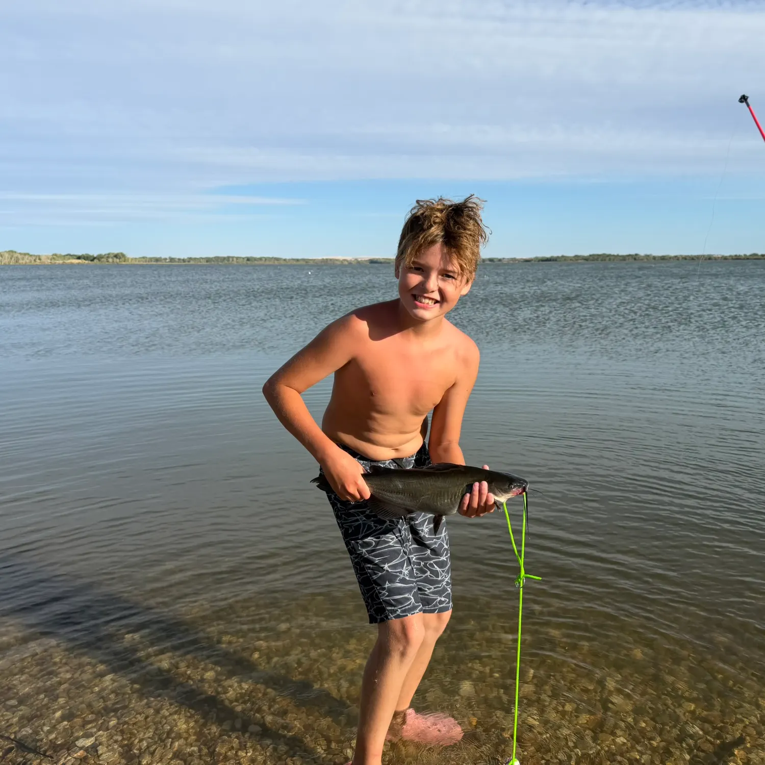 Channel catfish caught on Fishbrain