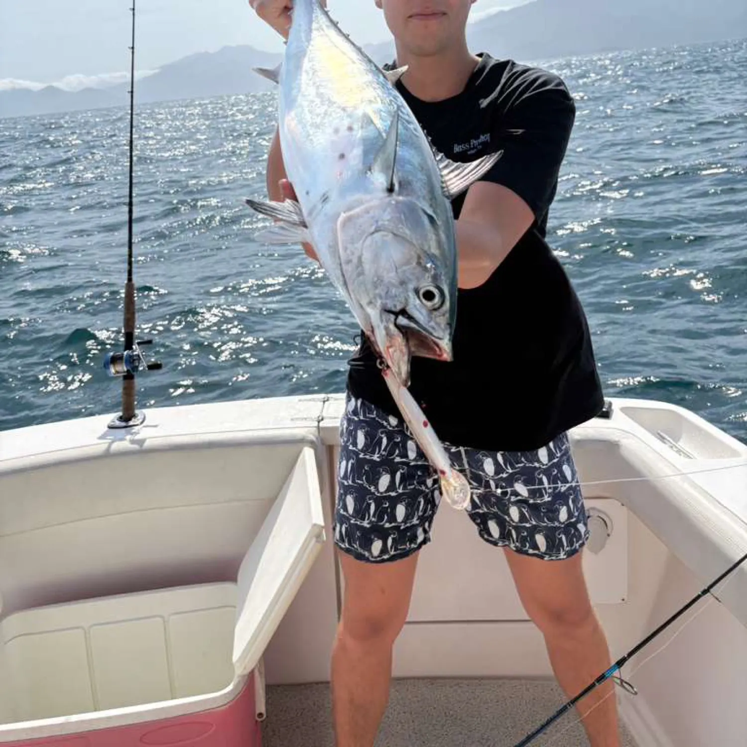 The most recent Little tunny catches on Fishbrain