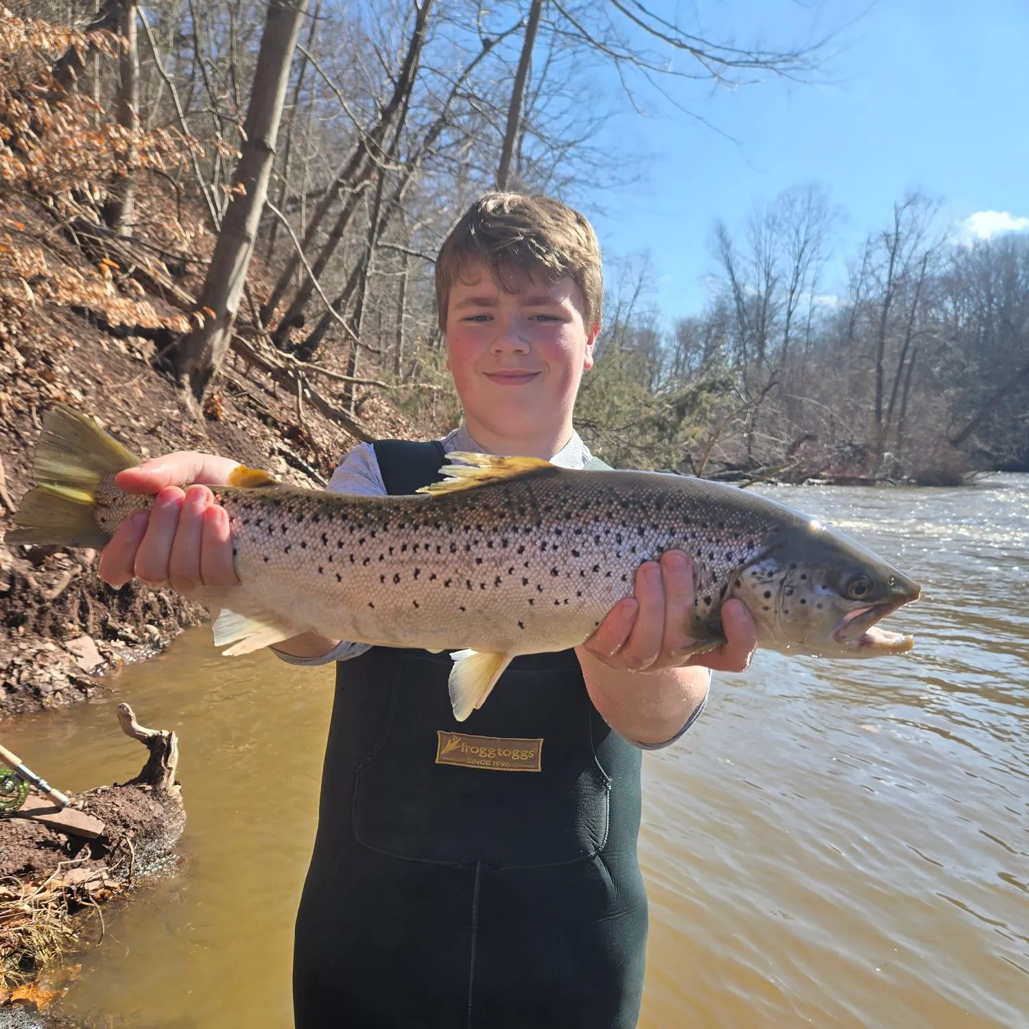 The most recent Atlantic salmon catches on Fishbrain
