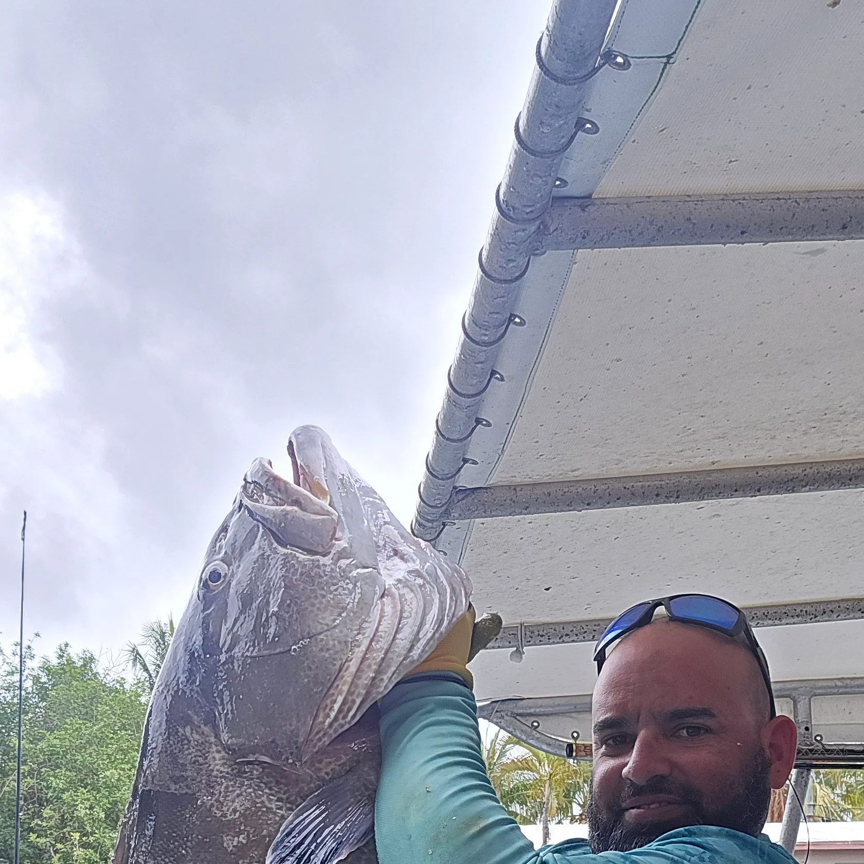 The most recent Black grouper catches on Fishbrain
