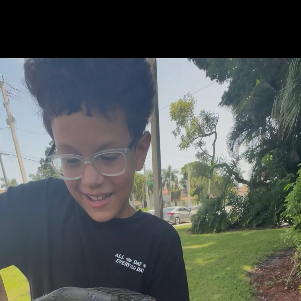 Butterfly peacock bass caught on Fishbrain