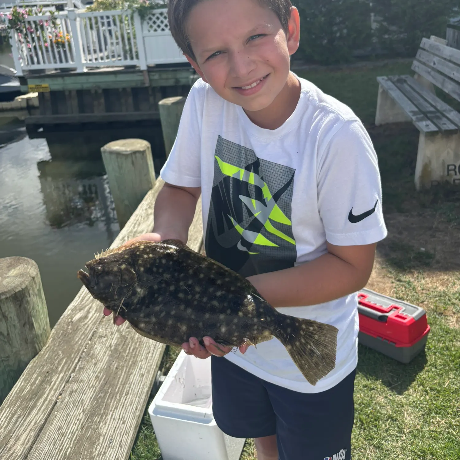 Summer flounder caught on Fishbrain